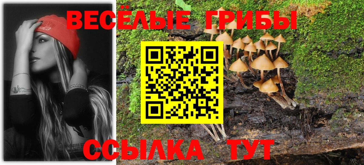 Туапсе  Псилоцибиновые грибы мухоморы  Вход с VPN 